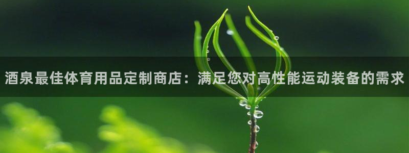 意昂体育3招商电话：酒泉最佳体育用品定制商店：满足您