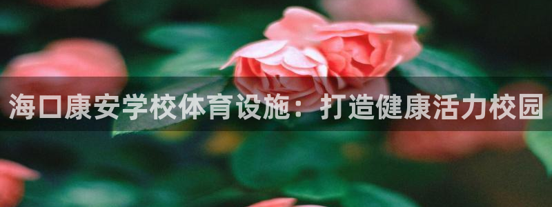 意昂体育3官方客服电话：海口康安学校体育设施：打造健