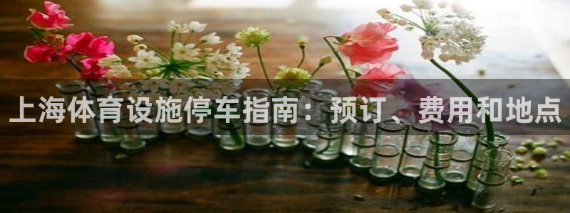 意昂体育3招商电话号码查询：上海体育设施停车指南：预