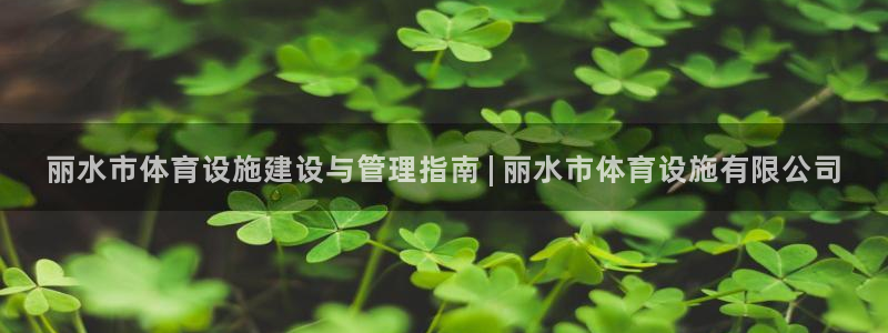 海南意昂体育3：丽水市体育设施建设与管理指南 | 丽