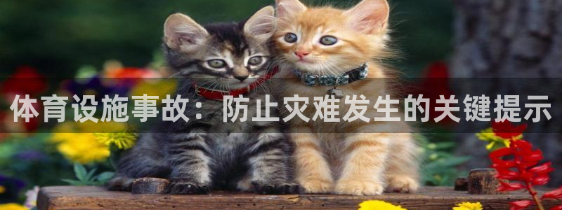 意昂3官网：体育设施事故：防止灾难发生的关键提示