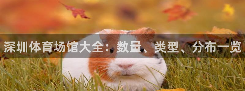 意昂3娱乐平台：深圳体育场馆大全：数量、类型、分布一