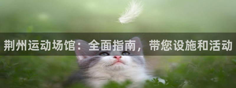 意昂3开户：荆州运动场馆：全面指南，带您设施和活动