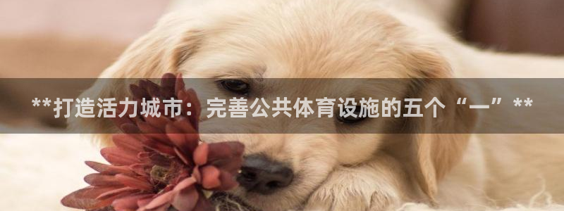 意昂3代理：**打造活力城市：完善公共体育设施的五个