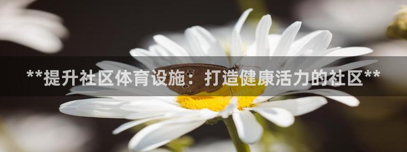 意昂3娱乐下载：**提升社区体育设施：打造健康活力的