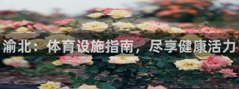 意昂体育3平台注册要钱吗：渝北：体育设施指南，尽享健