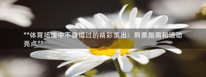 意昂体育3招商电话：**体育场馆中不容错过的精彩演出