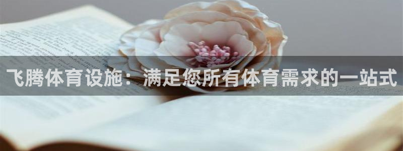 意昂体育3招商电话是多少：飞腾体育设施：满足您所有体