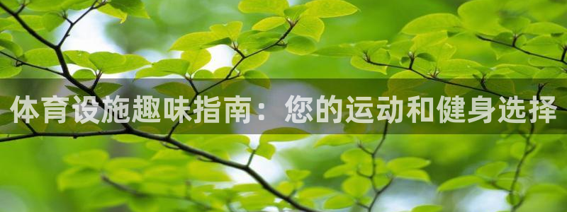 意昂3集团官网网址：体育设施趣味指南：您的运动和健身
