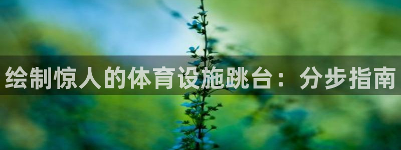 意昂体育3平台假的吗是真的吗吗：绘制惊人的体育设施跳