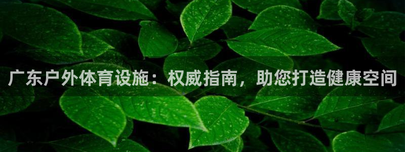 意昂体育3招商：广东户外体育设施：权威指南，助您打造