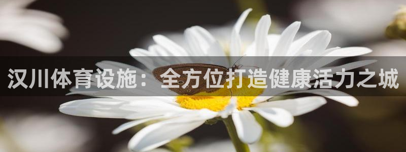 意昂体育3平台是正规平台吗知乎：汉川体育设施：全方位