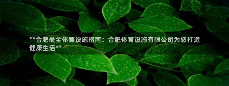 意昂3娱乐首页网站大全：**合肥最全体育设施指南：合