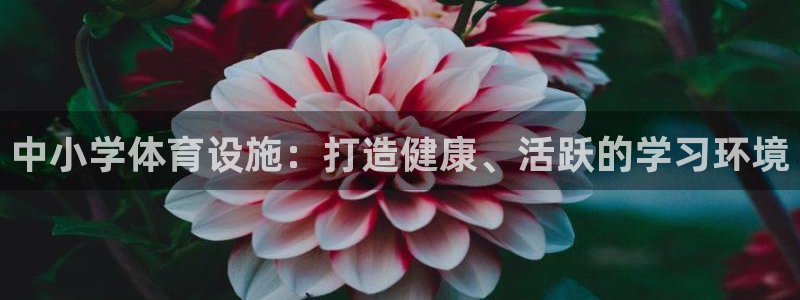 意昂体育3招商电话号码查询：中小学体育设施：打造健康
