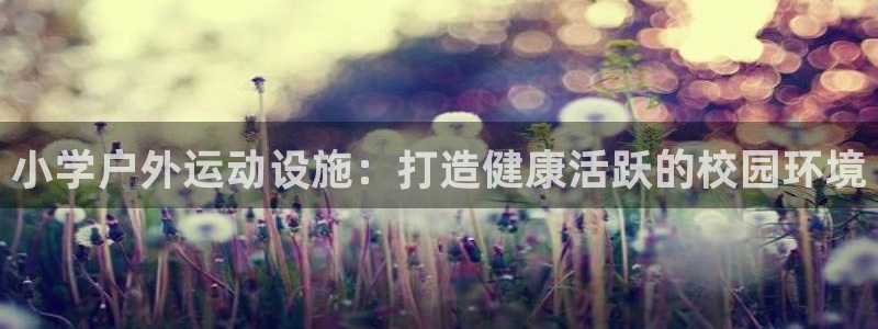 意昂体育3招商电话号码查询：小学户外运动设施：打造健