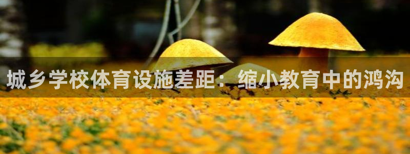 注册意昂3：城乡学校体育设施差距：缩小教育中的鸿沟