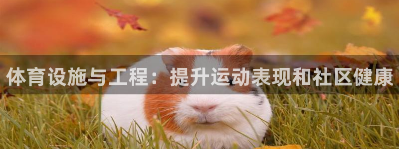 意昂体育3平台：体育设施与工程：提升运动表现和社区健