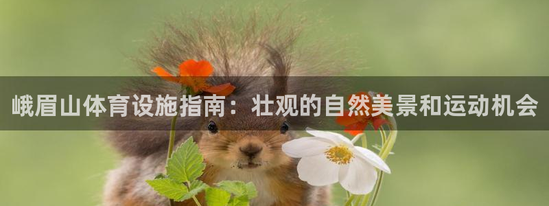 海南意昂体育3发展怎么样：峨眉山体育设施指南：壮观的