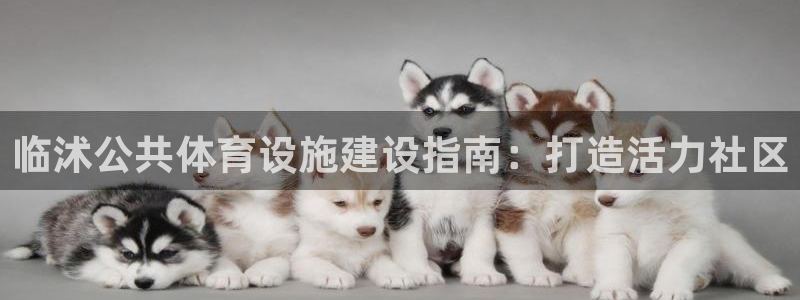 意昂体育3：临沭公共体育设施建设指南：打造活力社区