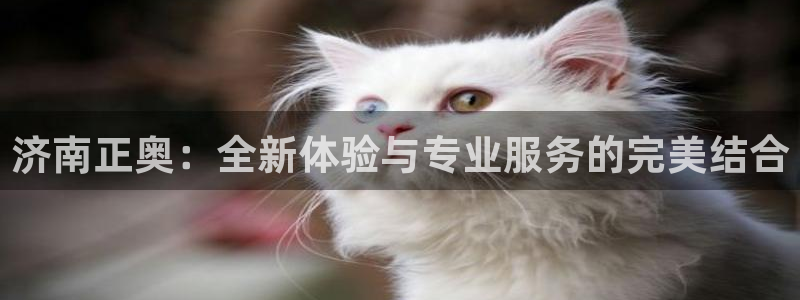 意昂平台体育