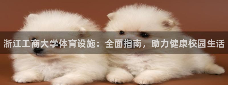 意昂体育3招商：浙江工商大学体育设施：全面指南，助力