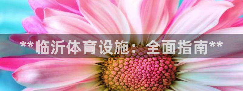 意昂3官方：**临沂体育设施：全面指南**