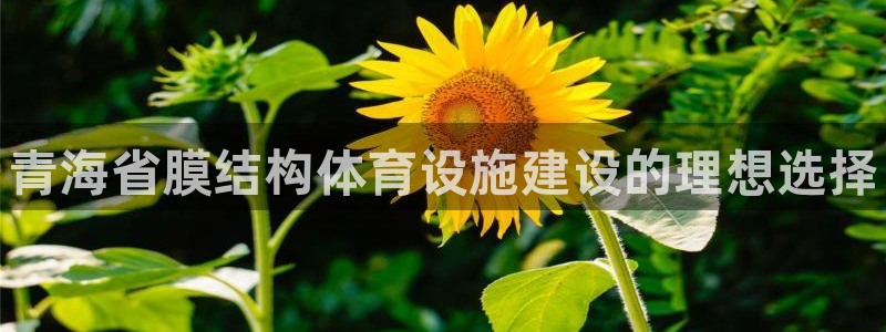 海南意昂体育3：青海省膜结构体育设施建设的理想选择 