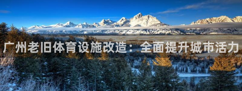 意昂体育3招商电话：广州老旧体育设施改造：全面提升城市活力