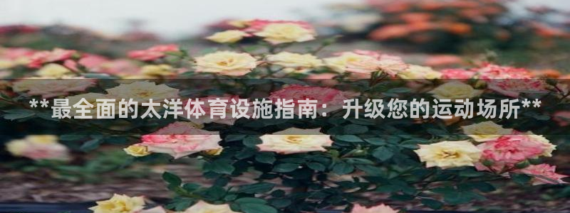 意昂3科技：**最全面的太洋体育设施指南：升级您的运动场所*