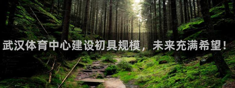 意昂体育3招商