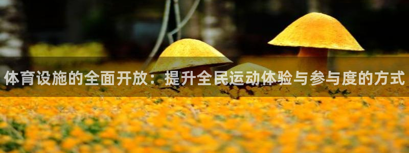 意昂体育3招商电话号码查询是多少：体育设施的全面开放：提升全