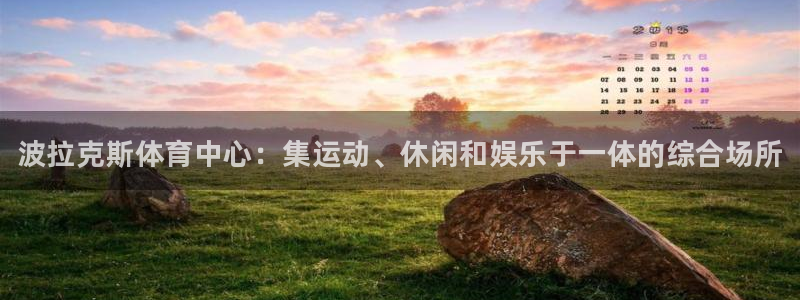 意昂3娱乐平台：波拉克斯体育中心：集运动、休闲和娱乐