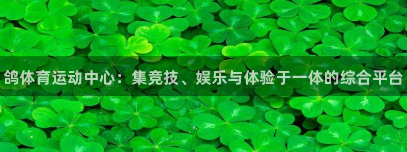 意昂体育3平台注册要钱吗安全吗：鸽体育运动中心：集竞