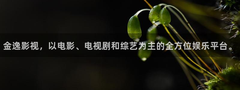 欧美b影院：金逸影视，以电影、电视剧和综艺为主的全方位娱乐平台。