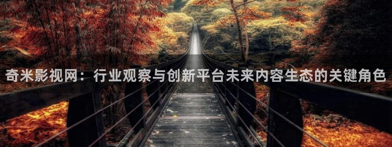 欧美b影院：奇米影视网：行业观察与创新平台未来内容生态的关键角色