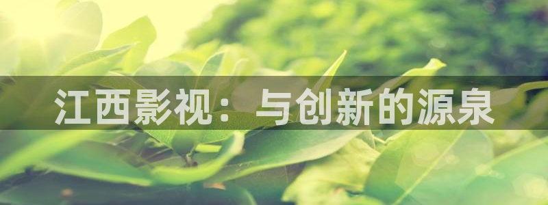 小bbb影院：江西影视：与创新的源泉