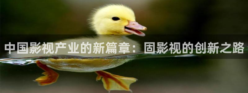 bbb影院：中国影视产业的新篇章：固影视的创新之路