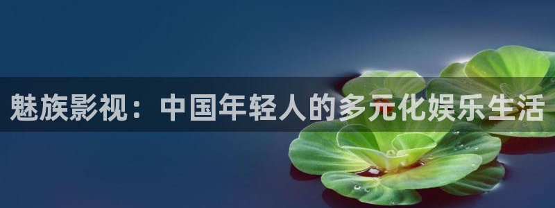 欧美b影院：魅族影视：中国年轻人的多元化娱乐生活