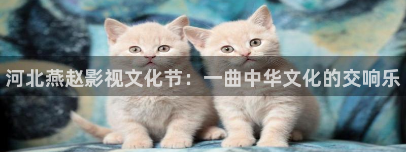 久久老b影院老女人b影院：河北燕赵影视文化节：一曲中华文化的交响乐